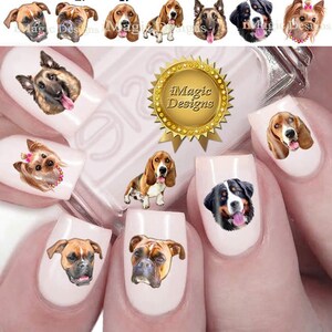 Nail Tattoos, Water Slide Nail Decals, Nail Stickers, Dog Photos - Boxer, Basset Hound, Belgian Tervuren, Bernese Mountain or Yorkie Girl