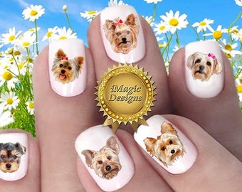 Nail Stickers, Water Slide Nail Decals, Nail Tattoos, Dogs Photo Shoot - Little Yorkie, Nail Tattoos