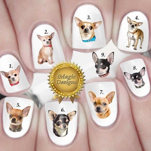 Op de afbeelding: Negen chihuahua nagel stickers met de nummers 1 tot en met 9. De stickers zijn op een witte achtergrond en tonen verschillende gekleurde chihuahuas.