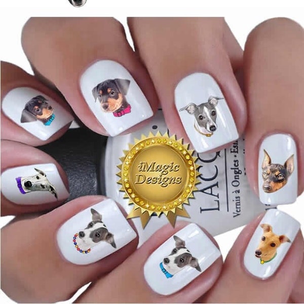 Nail Decals, Water Slide Nail Transfers, Nail Stickers, Dogs Photo Shoot - Pinscher, Greyhound or Whippet, Nail Tattoos