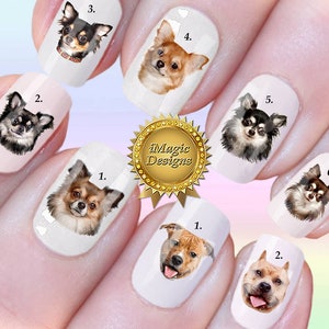 Nail Decals, Water Slide Nail Transfers, Nail Stickers, Dogs Photo - Long Hair Chihuahua or Pitbull, Nail Tattoos