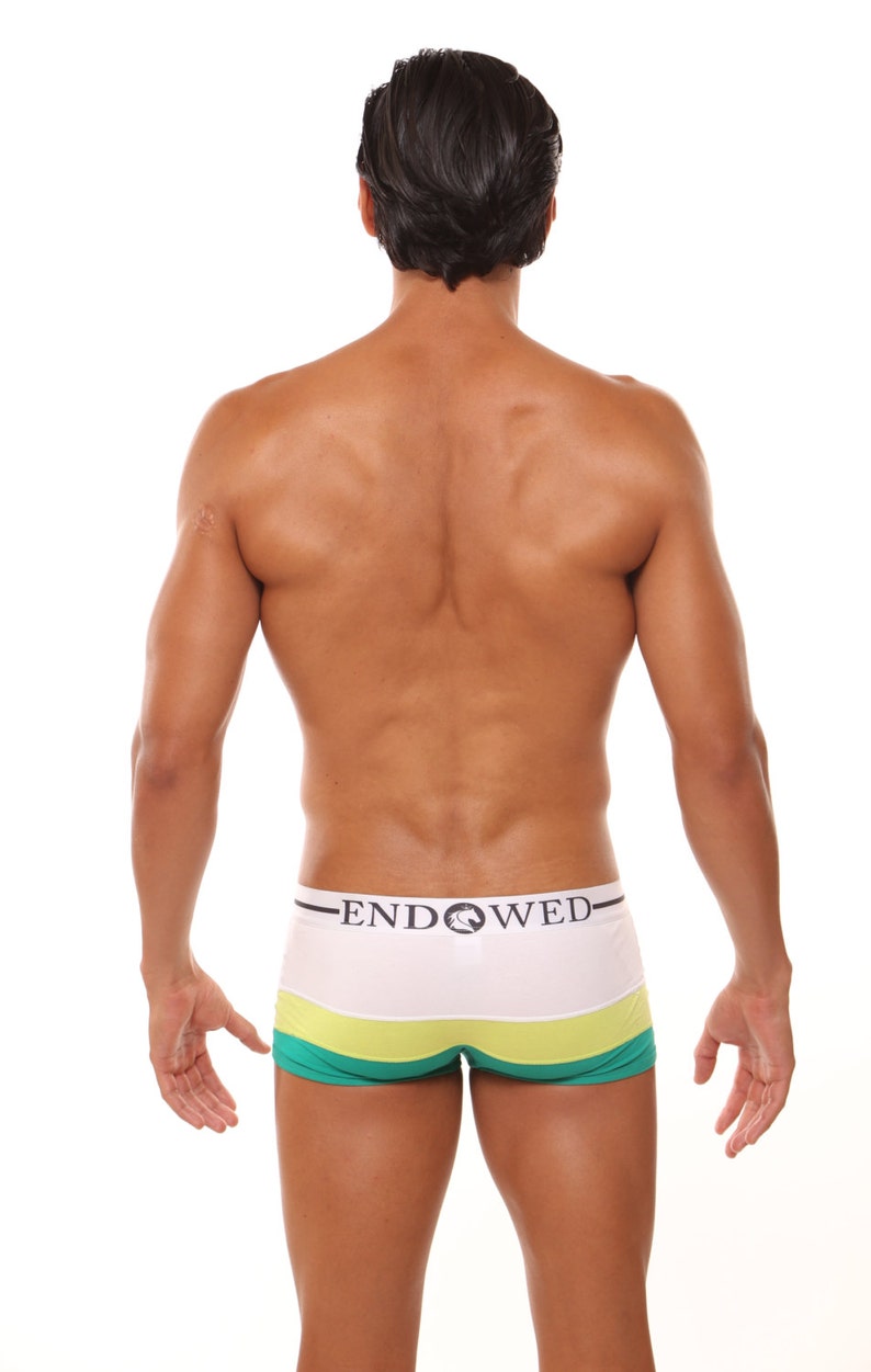 Lime Green Native Fit Boy Shorts Men Women Unisex Striped Etsy