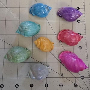 May include: A collection of eight painted seashells in various colors, including blue, purple, pink, yellow, green, and gray. The shells are arranged on a grid, showcasing their glossy finish and natural spiral shape. These decorative shells are ideal for beach-themed crafts or home decor.