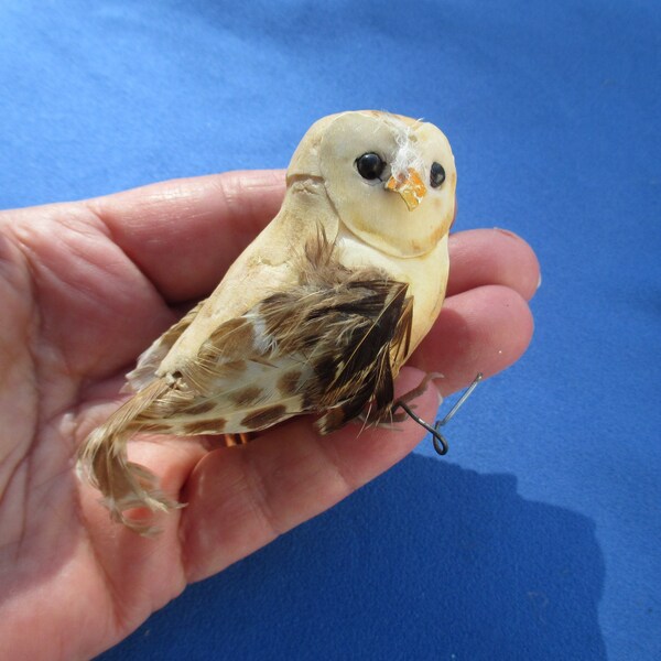 Styrofoam Feathered Miniature Owl TLC Missing Foot