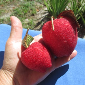 Vintage Sugared Look Artificial Red Apples