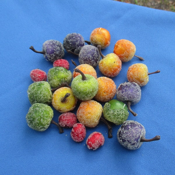 Sugared Fruit Etsy