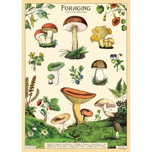 Poster vintage di foraggiamento