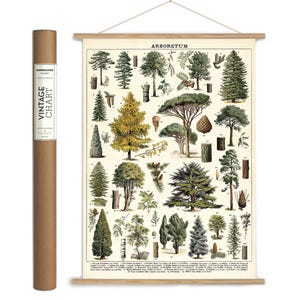 Kit para colgar carteles vintage