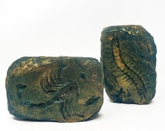 Scorpion or Centipede Fossil Inspired Soap