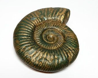 Fossil Ammonite Inspired Shaped Soap