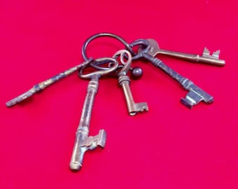 Vintage Key Ring and Skeleton Keys