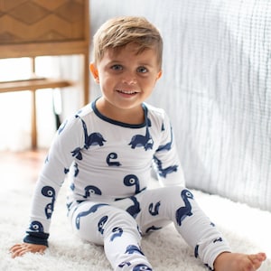 Dinosaur kids pjs hot sale