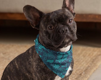 Bandana pour chien / Bandana pour animal de compagnie Furry Friend - assorti à la famille / Par Baby Be Mine / Prêt à être expédié à partir du CT / Anaïs