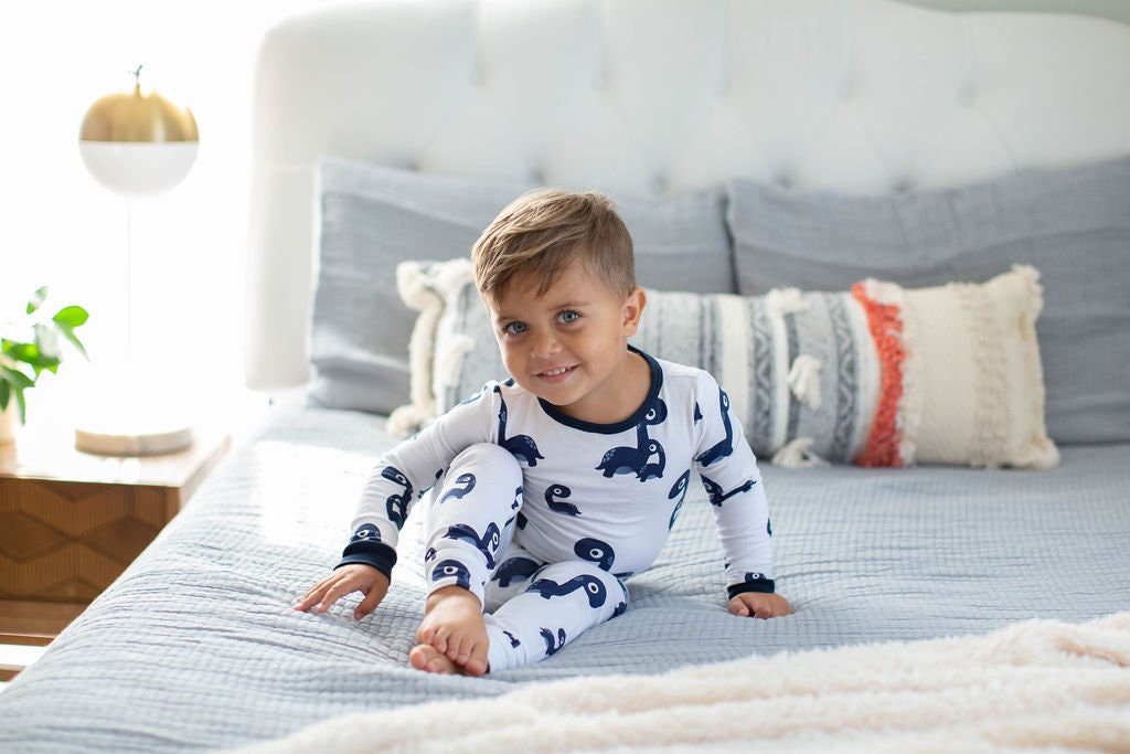Dinosaur boys pjs hotsell