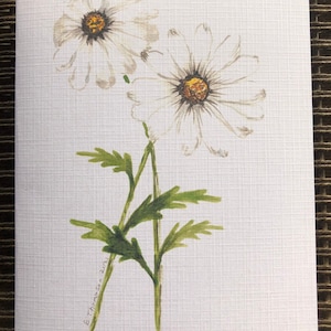 Wenskaarten bedrukte aquarel kunst van prachtige White Daisy's bloemen. Lege kaart voor alle gelegenheden. Verjaardagen, beterschapskaart