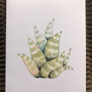 Carte de voeux imprimé aquarelle art de Zebra Succulent. Carte blanche pour toutes les occasions Anniversaires Fête des Mères obtenez bien merci