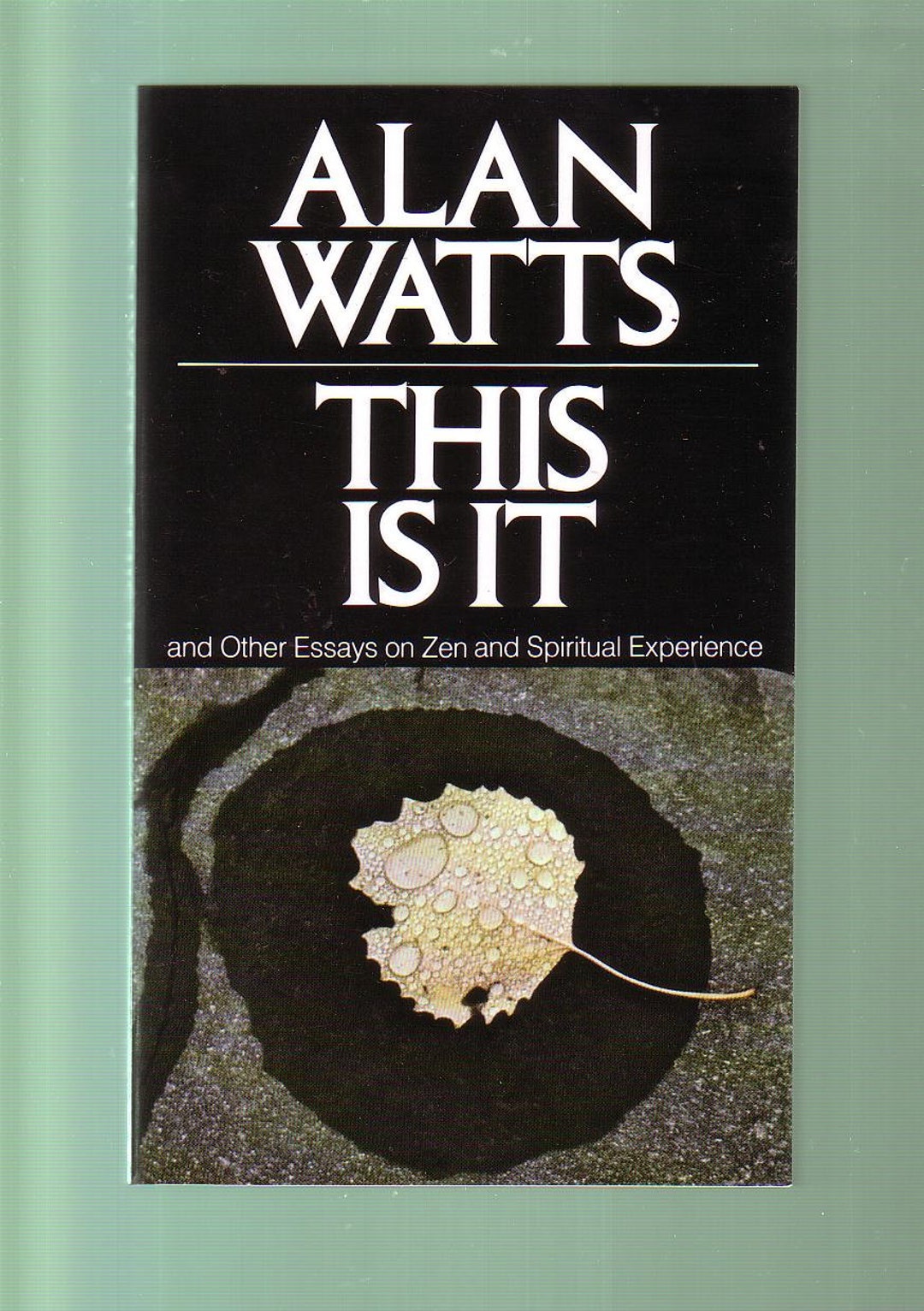 alan watts essays