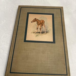 The Red Pony by Jonh Steinbeck Illustrated 1945 Edition
