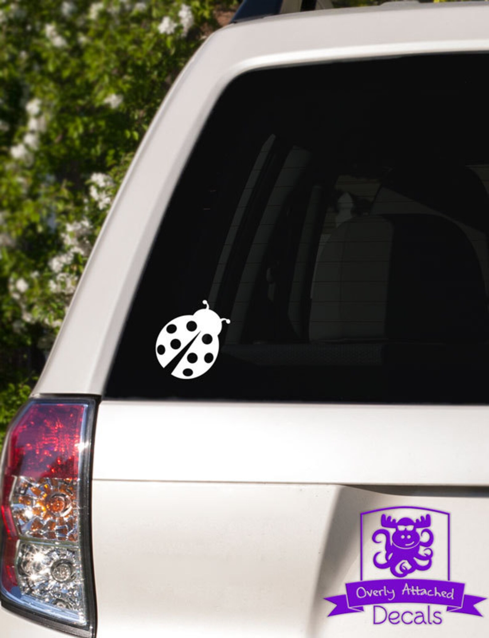 Ladybug Car Rental - oriu7il
