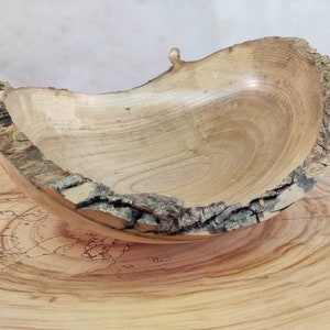Ash wood bowl