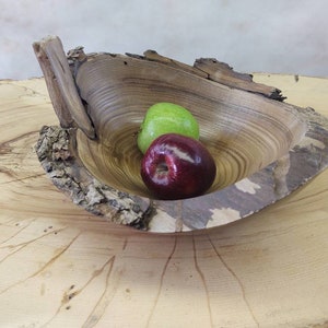 Catalpa wood bowl