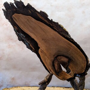Natural edge walnut wall hanging