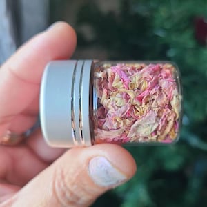Dried peony petals,Altar supplies,Dried flowers
