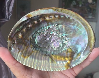 Abalone shell for smudging, Seashell incense burner, Home decor