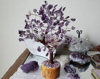 Amethyst crystal tree, Gemstone Tree, Altar decoration
