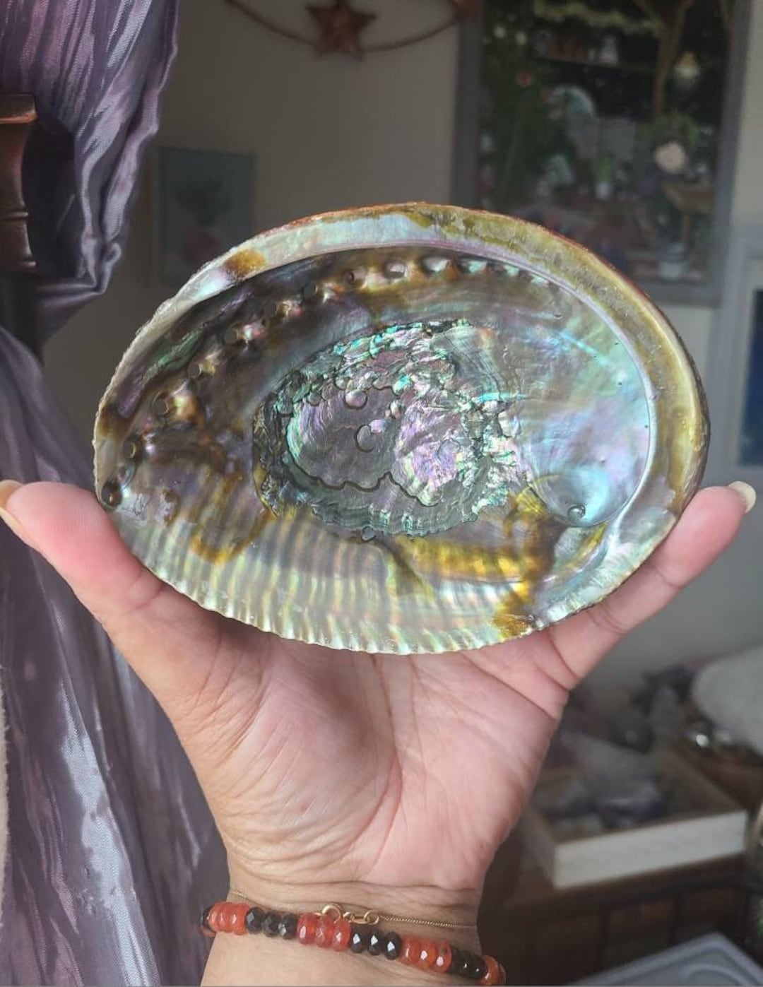 Abalone Shell for Smudging, Seashell Incense Burner, Home Decor - Etsy