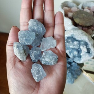 Peut inclure: Une collection de petits cristaux de c&eacute;lestine bruts bleu clair, aux formes irr&eacute;guli&egrave;res et dentel&eacute;es, avec des surfaces translucides &agrave; opaques. Les pierres pr&eacute;sentent une coloration bleu p&acirc;le glac&eacute; avec des textures min&eacute;rales naturelles.