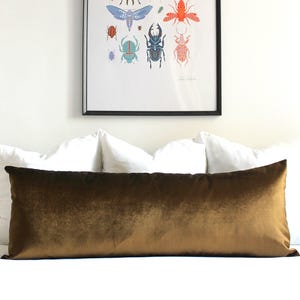 May include: A long, rectangular lumbar pillow with a smooth, dark bronze-colored velvet cover. The pillow is positioned horizontally in front of three plain white square pillows on a bed, with a framed insect print hanging on the wall above.