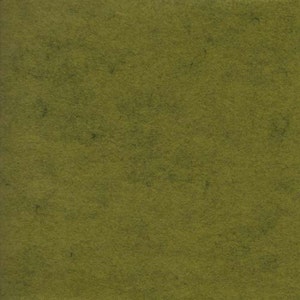 Peut inclure: Gros plan d'une surface texturée vert olive. La surface présente un aspect légèrement moucheté avec des variations de vert plus foncé, créant une esthétique naturelle et organique. La texture semble douce et fibreuse.