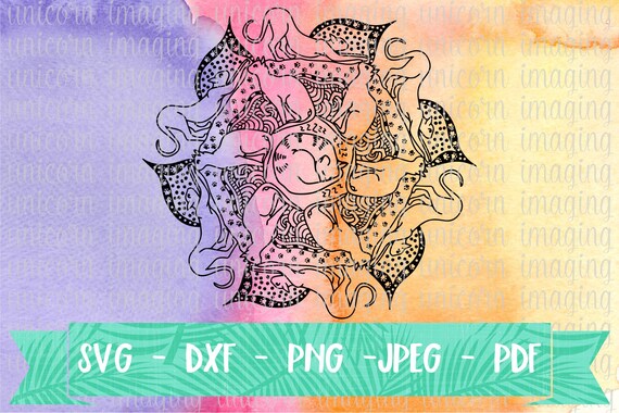 Download Cat Mandala Svg Mandala Of Cats Dxf Cat Lover Digital Etsy