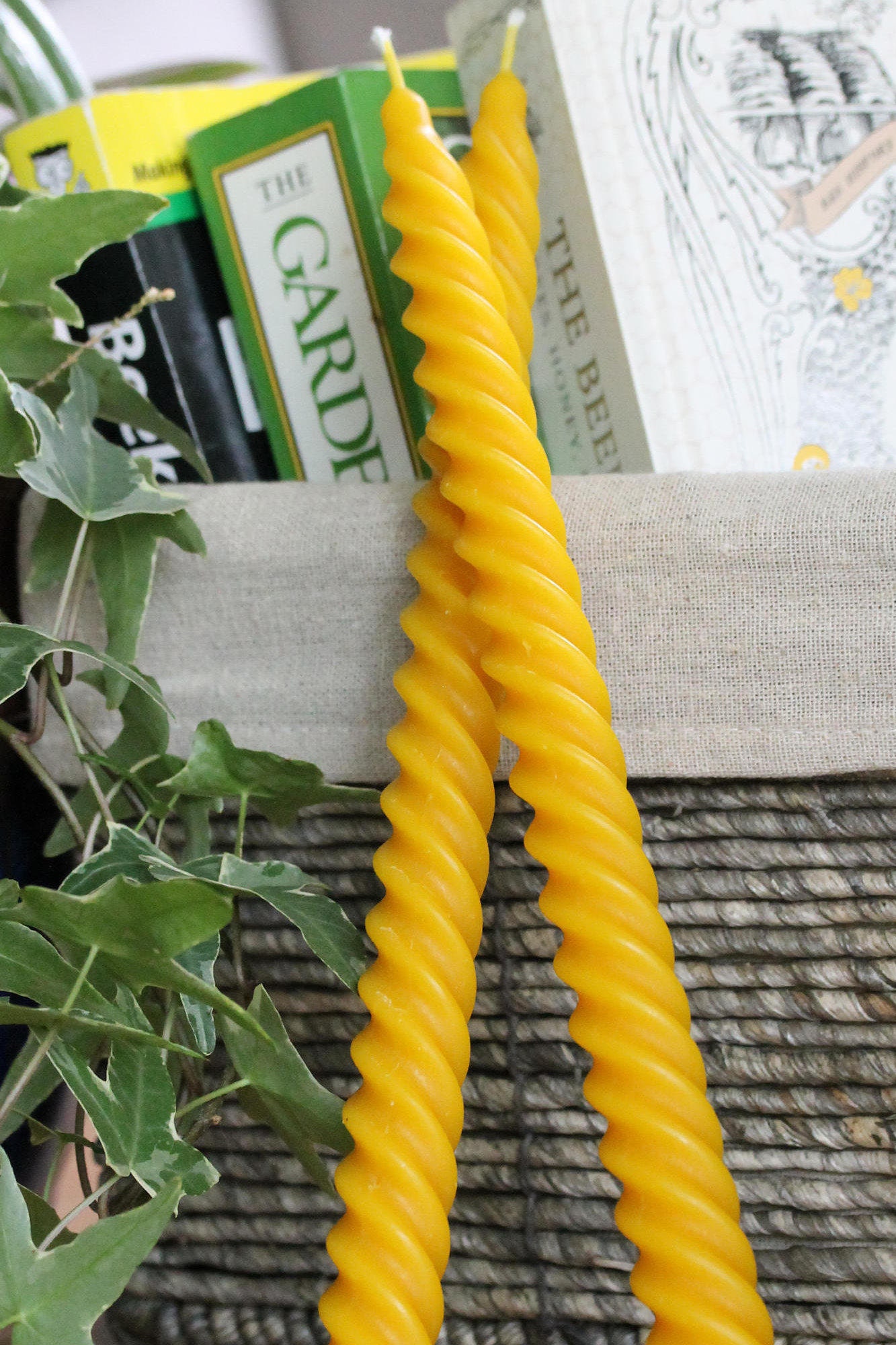 12 Spiral Beeswax Candle Etsy