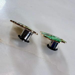 May include: Two silver-colored ear plugs with a leaf design. The leaf has green and gold accents. The plugs have a black rubber ring around the base.