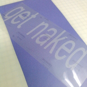 GET NAKED Bathroom Mirror Etched Glass Vinyl Sticker Decal 8&quot;h x 18&quot;w (Frosted Silver Only)