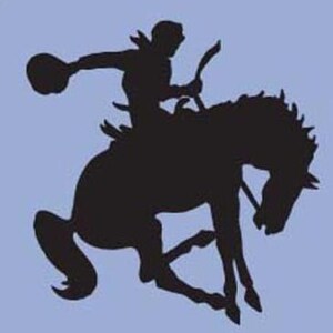 Cowboy Western Rodeo Horse Vinyl Sticker Decal 8"h x 8"w