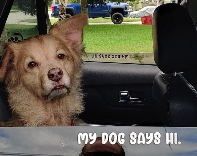My Dog Says Hi vinyl decals for car window (TWO PACK), vinyl sticker, dog sticker, window sticker