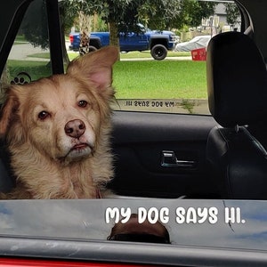 My Dog Says Hi vinyl decals for car window (TWO PACK), vinyl sticker, dog sticker, window sticker