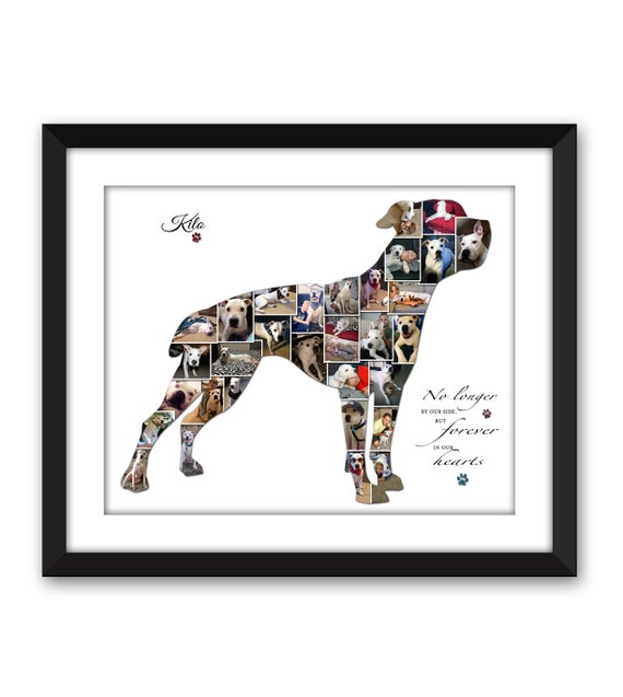 american bulldog memorial