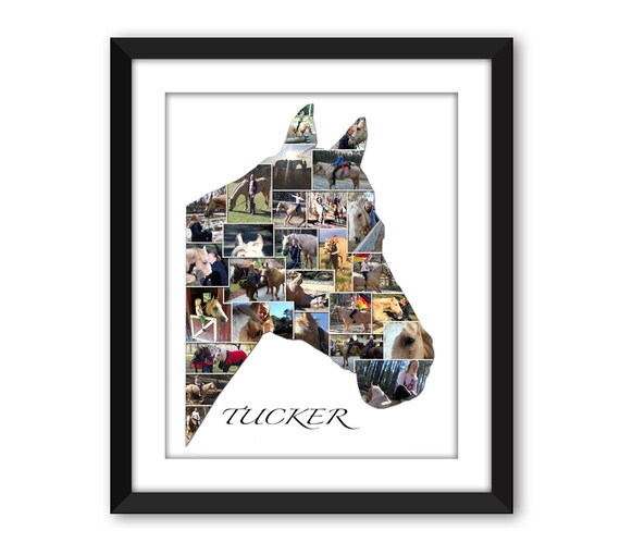 Se è possibile leggere questo indietro sul mio cavallo Felpa Compleanno FASHION Equestre