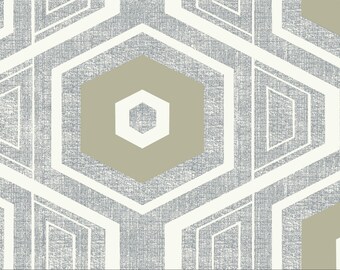 May include: Abstract geometric pattern with white lines and overlapping hexagons on a gray background. The center hexagon is a light brown color.