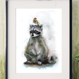 Illustration eines Waschbären mit einem Rotkehlchen auf dem Kopf, Druck auf Zeichenpapier, Tiermalerei-Zeichnung.