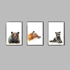 May include: Three watercolour paintings of animals in black frames. The first painting shows a brown bear looking at the viewer. The second painting shows a red fox looking to the right. The third painting shows a raccoon sitting on its hind legs.