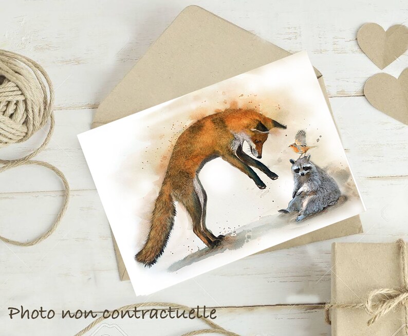 Illustration d'un renard, un raton laveur et un rouge gorge. image 2