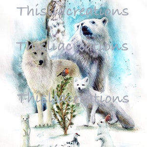 Illustration of white animals, on the snow, printing on drawing paper. image 2