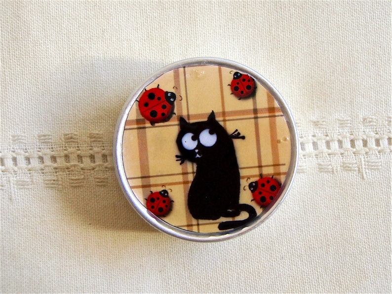 black cat and ladybugs. Small jewelry or tooth box
