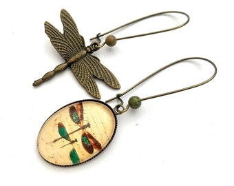 Mismatched oval earrings: dragonflies.