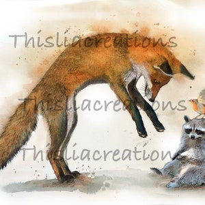 Illustrazione di una volpe, un procione e un pettirosso. immagine 3